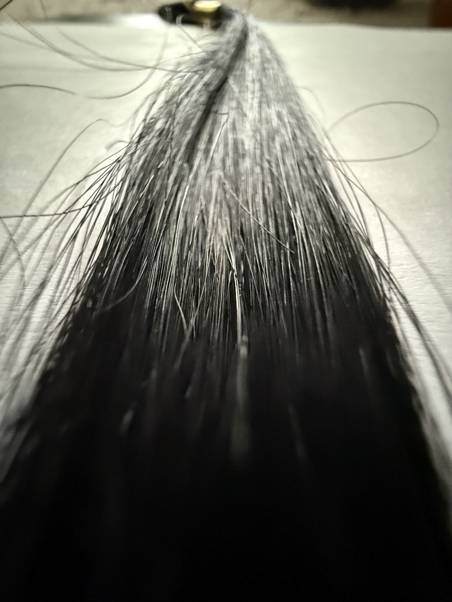 Machine Weft Bundles (Single_Drawn)